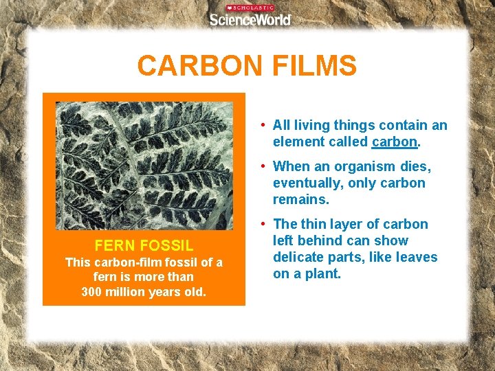 CARBON FILMS • All living things contain an element called carbon. • When an