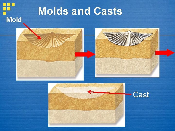 Molds and Casts Cast 