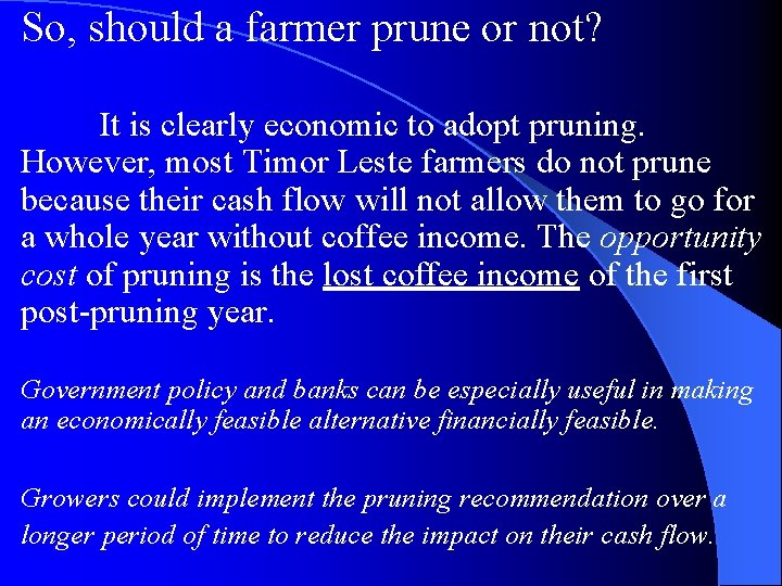 So, should a farmer prune or not? It is clearly economic to adopt pruning.