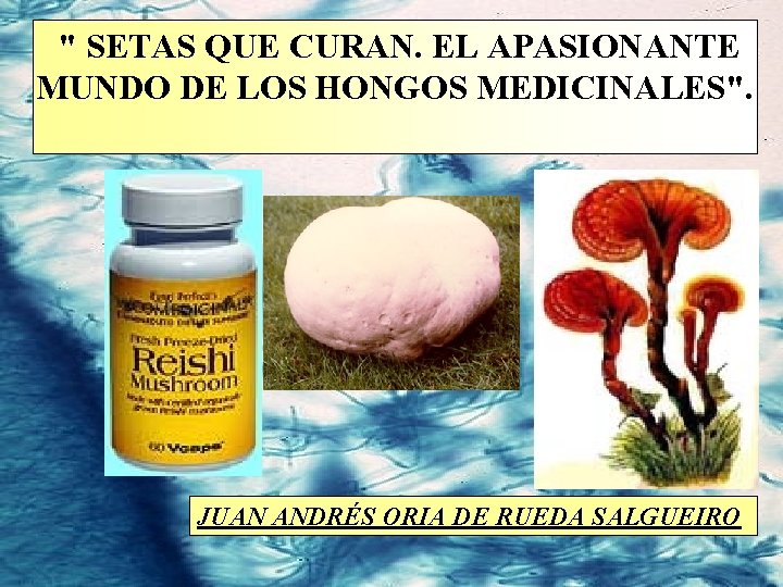 " SETAS QUE CURAN. EL APASIONANTE MUNDO DE LOS HONGOS MEDICINALES". JUAN ANDRÉS " SETAS QUE CURAN. EL APASIONANTE MUNDO DE LOS HONGOS MEDICINALES". JUAN ANDRÉS
