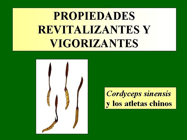 PROPIEDADES REVITALIZANTES Y VIGORIZANTES Cordyceps sinensis y los atletas chinos PROPIEDADES REVITALIZANTES Y VIGORIZANTES Cordyceps sinensis y los atletas chinos