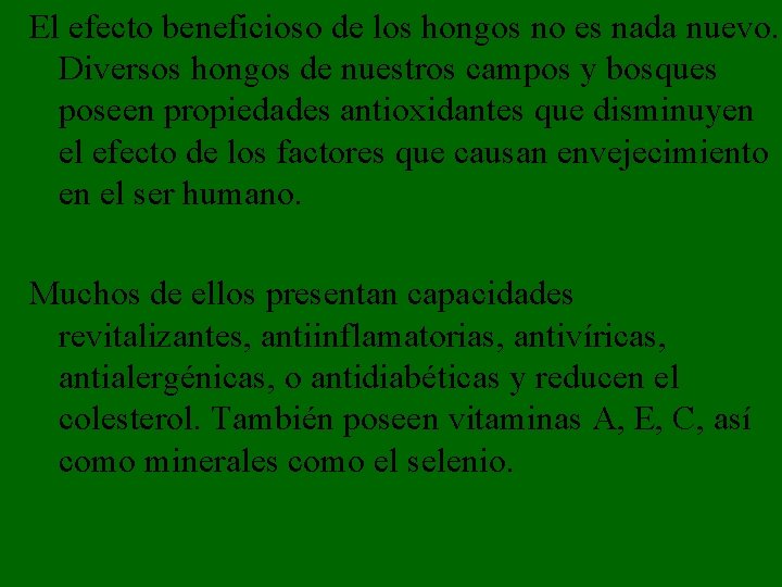 El efecto beneficioso de los hongos no es nada nuevo. Diversos hongos de nuestros El efecto beneficioso de los hongos no es nada nuevo. Diversos hongos de nuestros