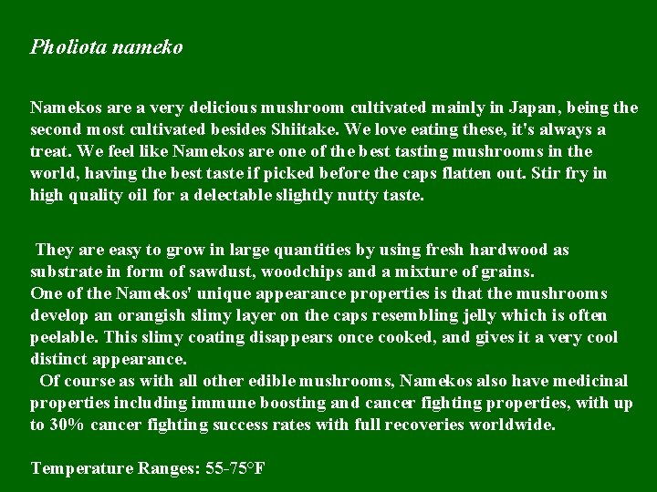 Pholiota nameko Namekos are a very delicious mushroom cultivated mainly in Japan, being the Pholiota nameko Namekos are a very delicious mushroom cultivated mainly in Japan, being the