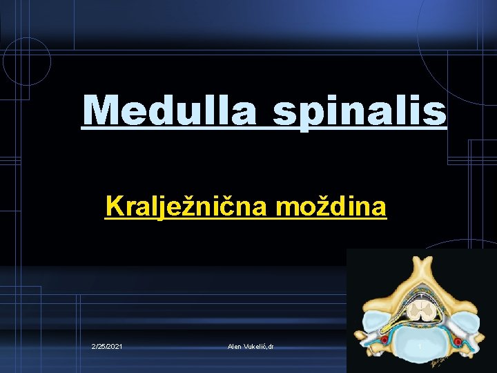 Medulla spinalis Kralježnična moždina 2/25/2021 Alen Vukelić, dr 1 