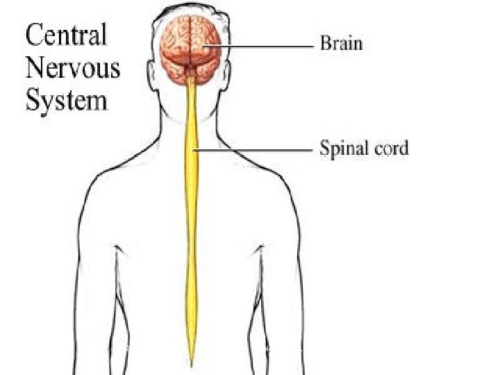 2/25/2021 Alen Vukelić, dr 3 