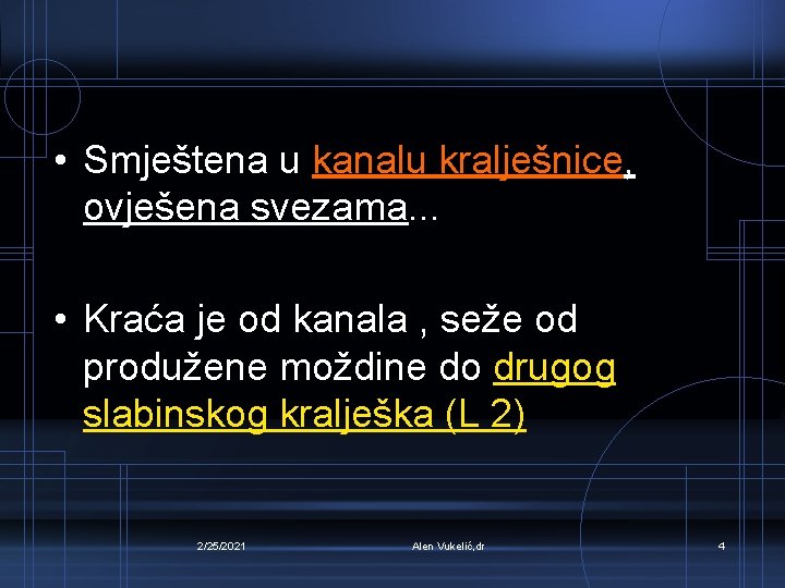  • Smještena u kanalu kralješnice, ovješena svezama. . . • Kraća je od