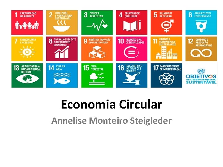 Economia Circular Annelise Monteiro Steigleder 