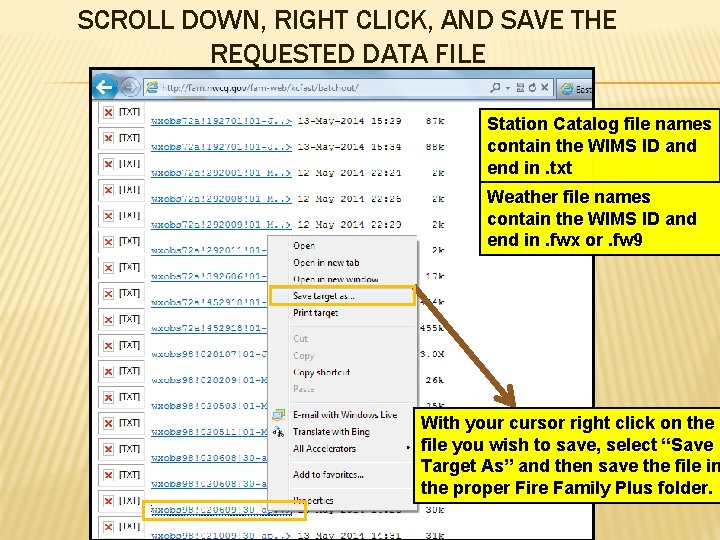 SCROLL DOWN, RIGHT CLICK, AND SAVE THE REQUESTED DATA FILE Station Catalog file names