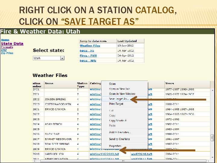 RIGHT CLICK ON A STATION CATALOG, CLICK ON “SAVE TARGET AS” 