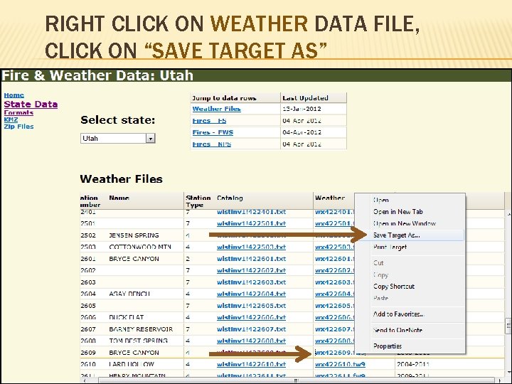 RIGHT CLICK ON WEATHER DATA FILE, CLICK ON “SAVE TARGET AS” 