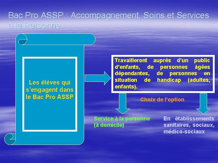 Bac Pro ASSP Accompagnement Soins et Services la