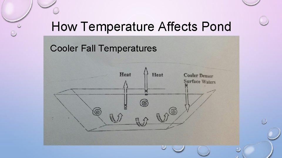 How Temperature Affects Pond Mixing Cooler Fall Temperatures 