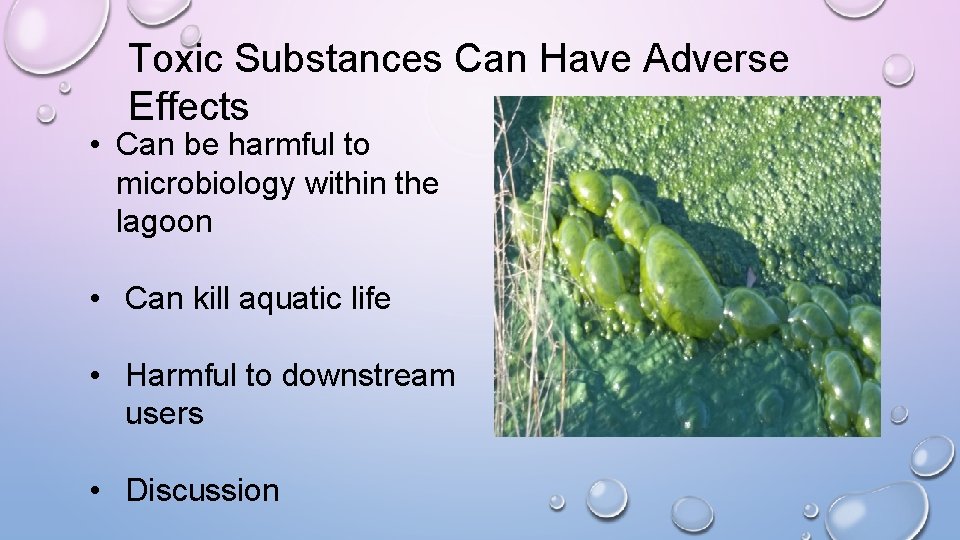 Toxic Substances Can Have Adverse Effects • Can be harmful to microbiology within the