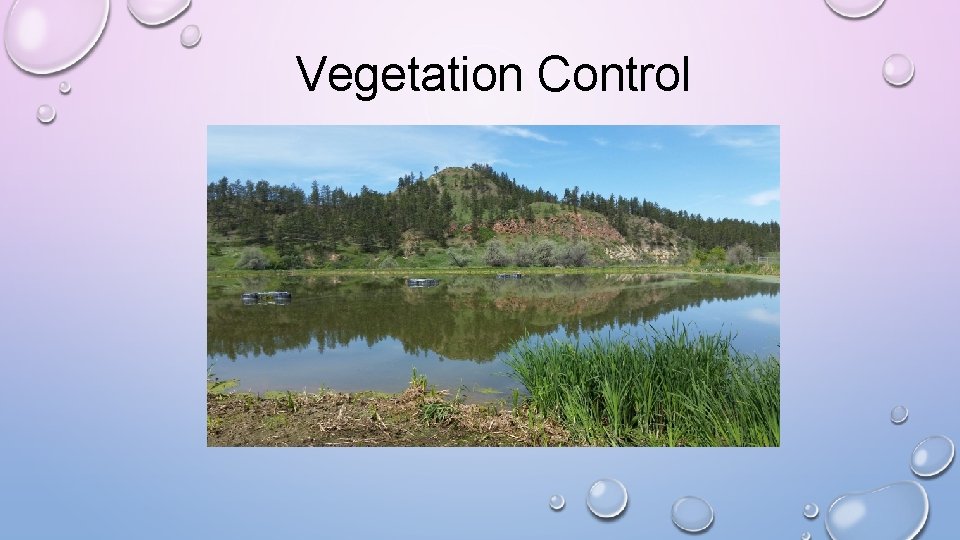 Vegetation Control 