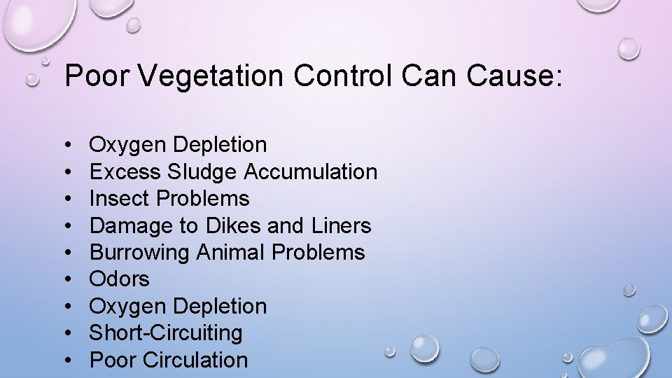 Poor Vegetation Control Can Cause: • • • Oxygen Depletion Excess Sludge Accumulation Insect