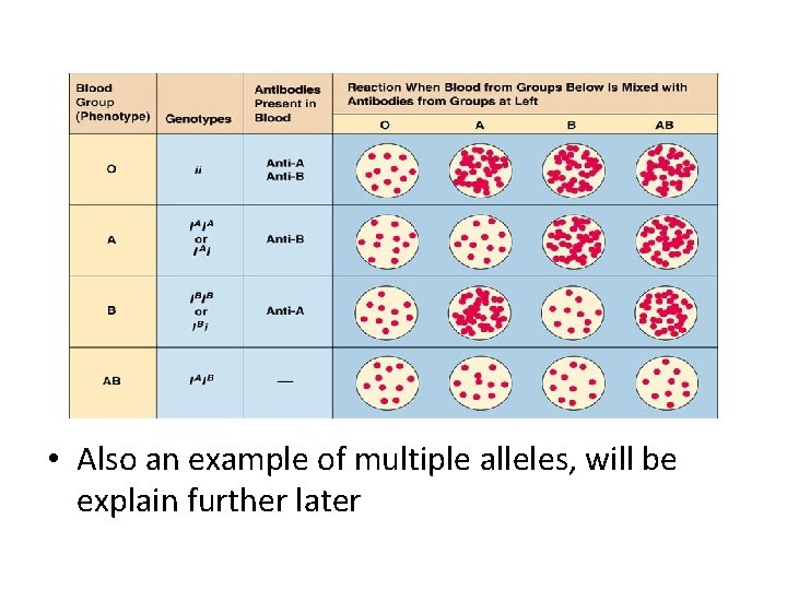  • Also an example of multiple alleles, will be explain further later 