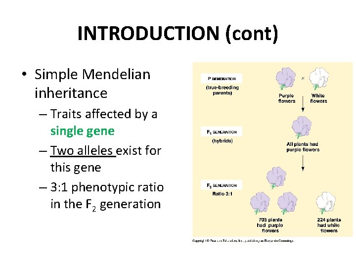 INTRODUCTION (cont) • Simple Mendelian inheritance – Traits affected by a single gene –