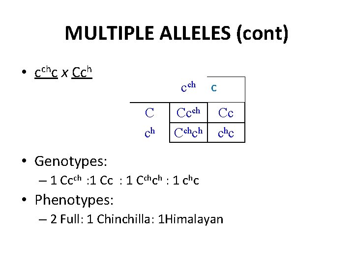 MULTIPLE ALLELES (cont) • cchc x Cch cch Cchch c Cc chc • Genotypes: