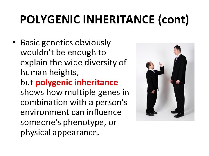 POLYGENIC INHERITANCE (cont) • Basic genetics obviously wouldn't be enough to explain the wide