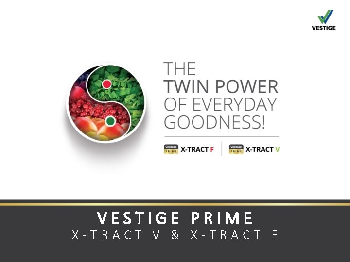 VESTIGE PRIME X-TRACT V & X-TRACT F 