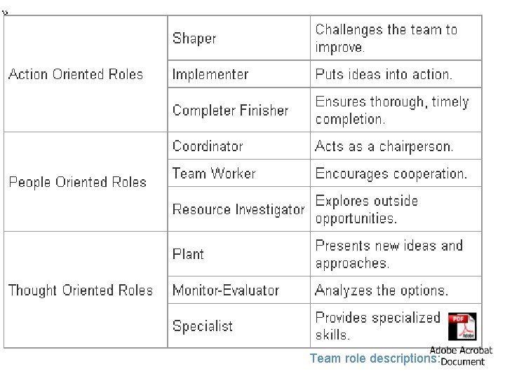 Team role descriptions: 
