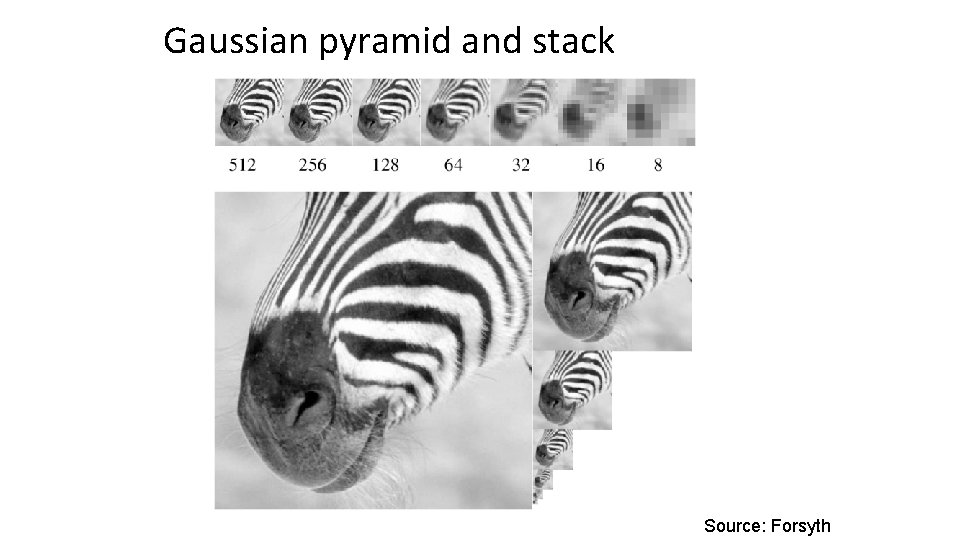 Gaussian pyramid and stack Source: Forsyth 