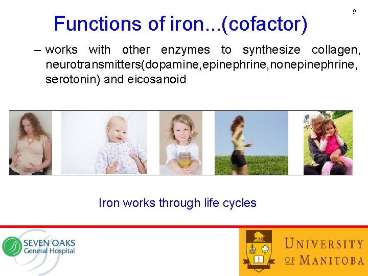 Functions of iron. . . (cofactor) 9 – works with other enzymes to synthesize