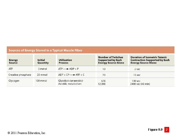 © 2011 Pearson Education, Inc. Figure 9. 9 2 