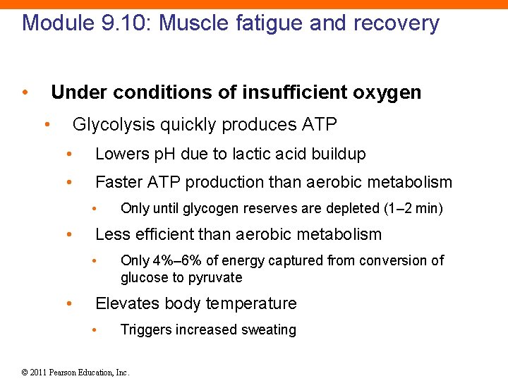 Module 9. 10: Muscle fatigue and recovery • Under conditions of insufficient oxygen •