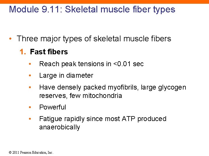 Module 9. 11: Skeletal muscle fiber types • Three major types of skeletal muscle