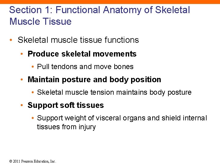 Section 1: Functional Anatomy of Skeletal Muscle Tissue • Skeletal muscle tissue functions •