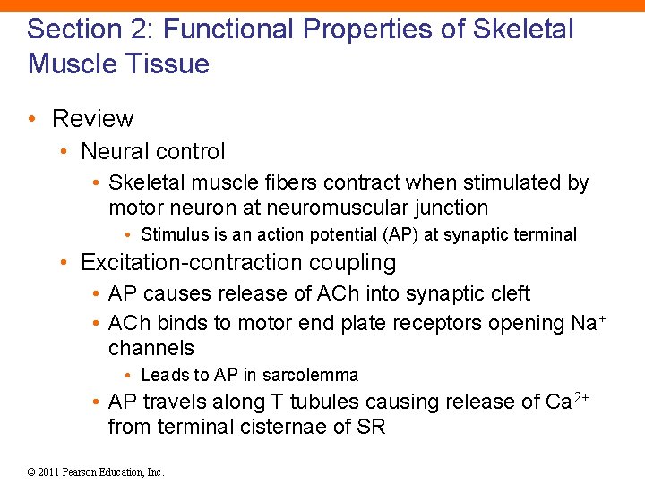 Section 2: Functional Properties of Skeletal Muscle Tissue • Review • Neural control •