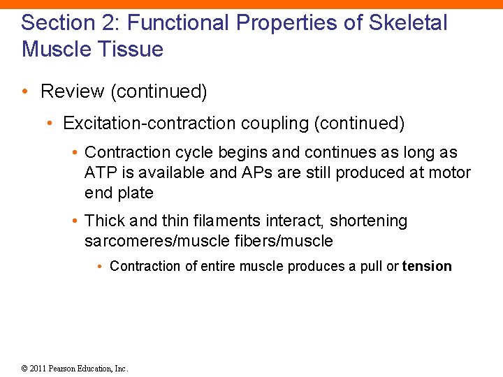 Section 2: Functional Properties of Skeletal Muscle Tissue • Review (continued) • Excitation-contraction coupling