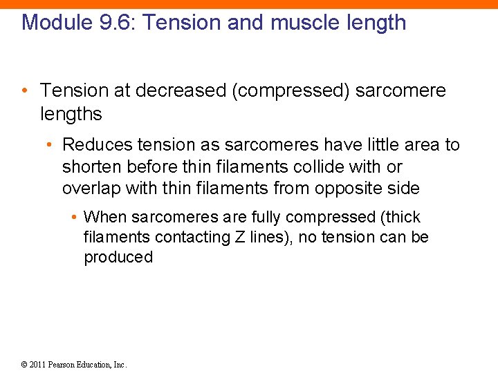 Module 9. 6: Tension and muscle length • Tension at decreased (compressed) sarcomere lengths