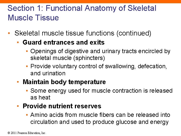 Section 1: Functional Anatomy of Skeletal Muscle Tissue • Skeletal muscle tissue functions (continued)