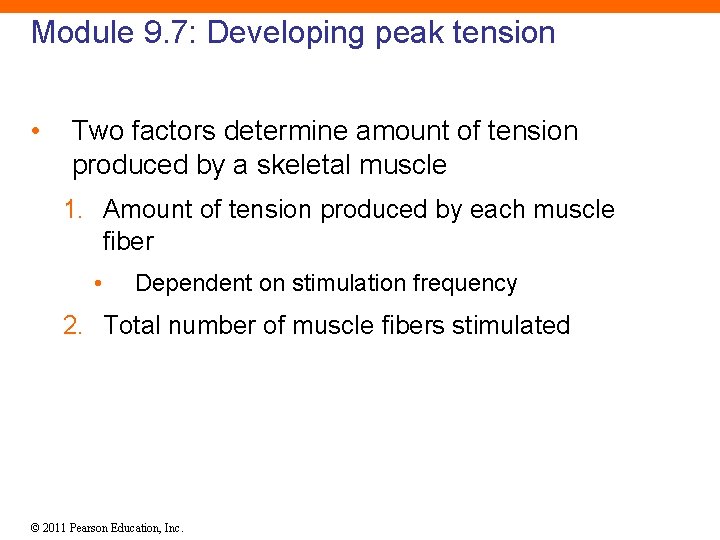 Module 9. 7: Developing peak tension • Two factors determine amount of tension produced