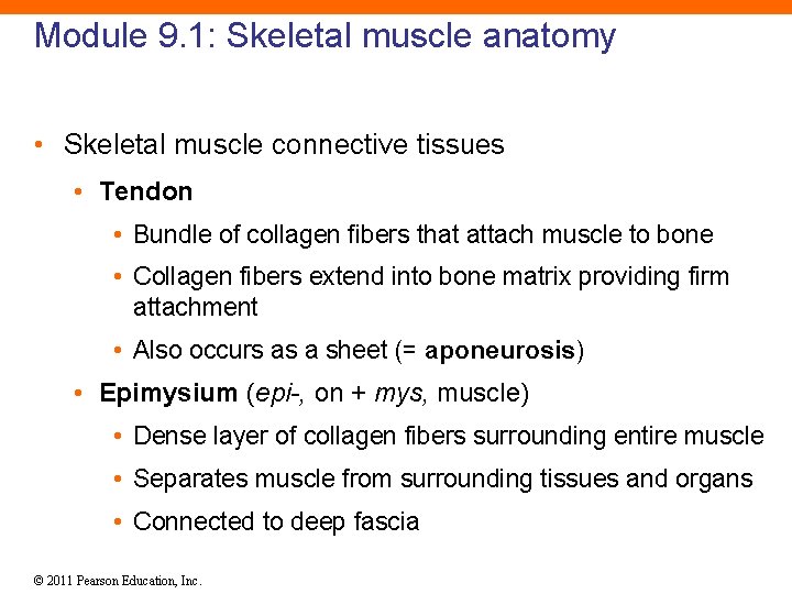Module 9. 1: Skeletal muscle anatomy • Skeletal muscle connective tissues • Tendon •
