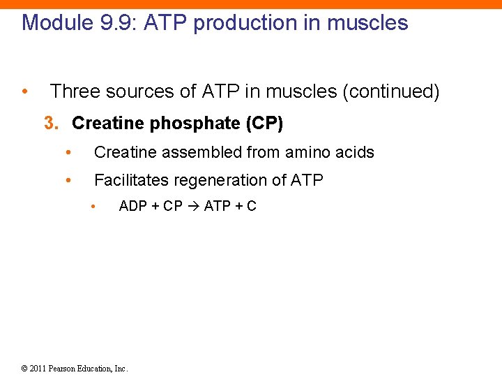 Module 9. 9: ATP production in muscles • Three sources of ATP in muscles