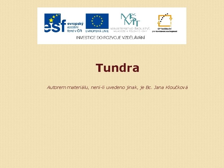 Tundra Autorem materiálu, není-li uvedeno jinak, je Bc. Jana Kloučková 