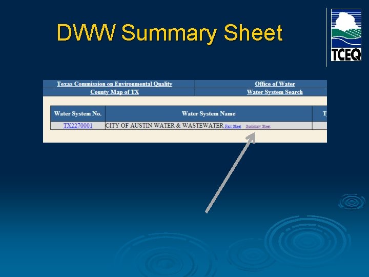 DWW Summary Sheet 