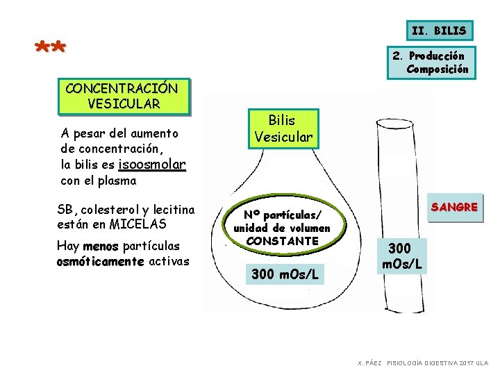 II. BILIS ** CONCENTRACIÓN VESICULAR A pesar del aumento de concentración, la bilis es