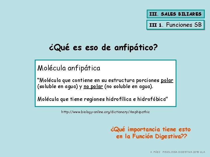 III. SALES BILIARES III 1. Funciones SB ¿Qué es eso de anfipático? Molécula anfipática