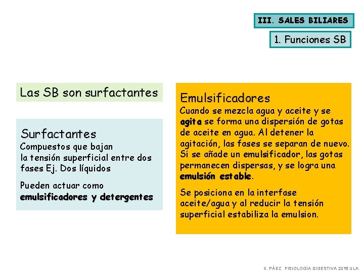 III. SALES BILIARES 1. Funciones SB Las SB son surfactantes Surfactantes Compuestos que bajan