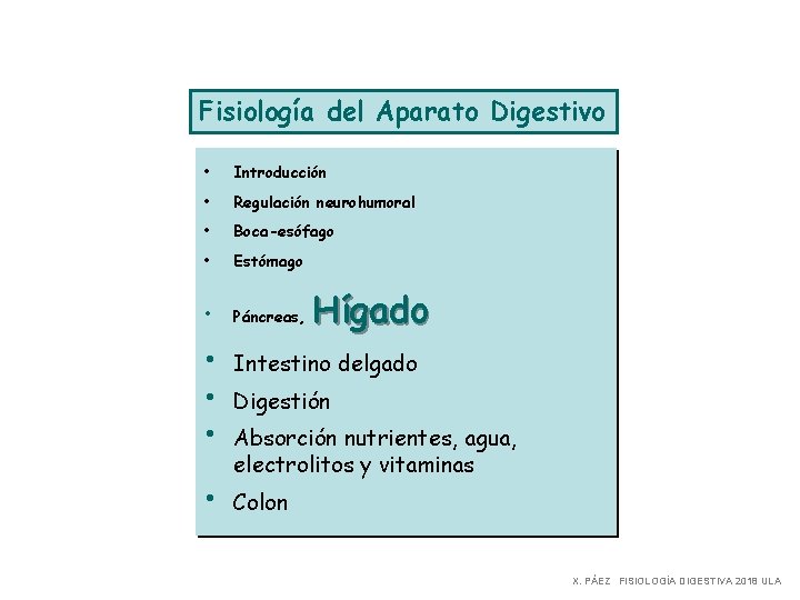 Fisiología del Aparato Digestivo • Introducción • Regulación neurohumoral • Boca-esófago • Estómago •