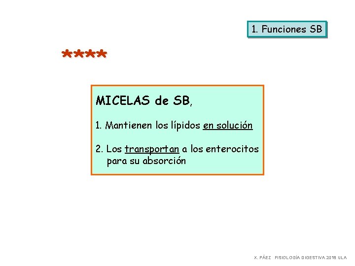1. Funciones SB **** MICELAS de SB, 1. Mantienen los lípidos en solución 2.