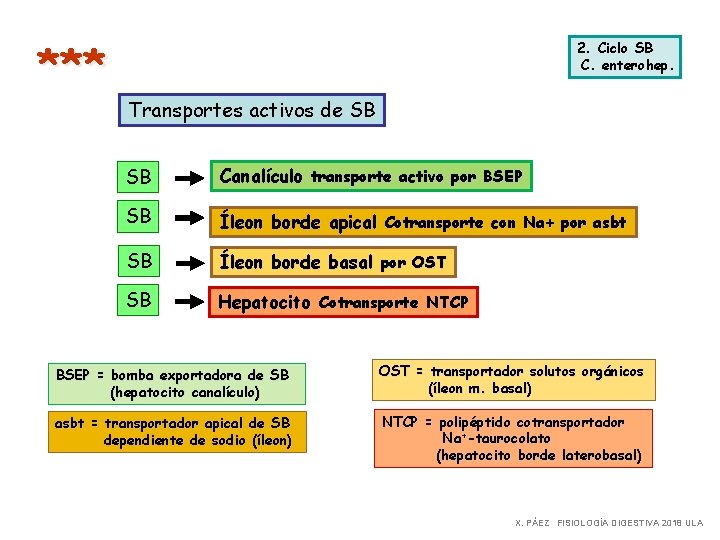*** 2. Ciclo SB C. enterohep. Transportes activos de SB SB Canalículo transporte activo