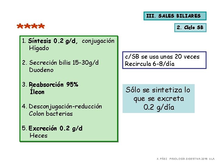 III. SALES BILIARES **** 1. Síntesis 0. 2 g/d, conjugación Hígado 2. Secreción bilis