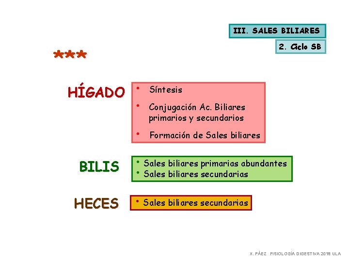 III. SALES BILIARES 2. Ciclo SB *** HÍGADO • • • BILIS HECES Síntesis