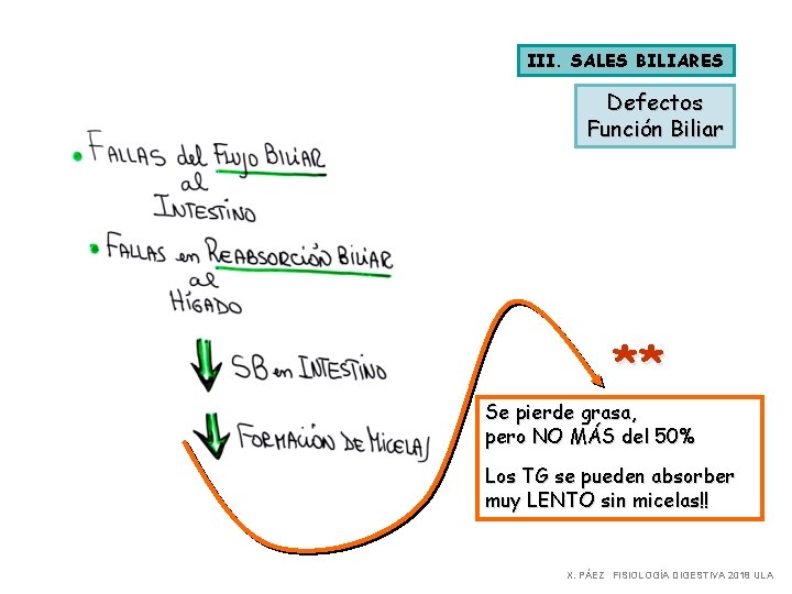 III. SALES BILIARES Defectos Función Biliar ** Se pierde grasa, pero NO MÁS del