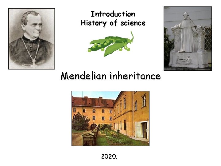 Introduction History of science Mendelian inheritance 2020. 